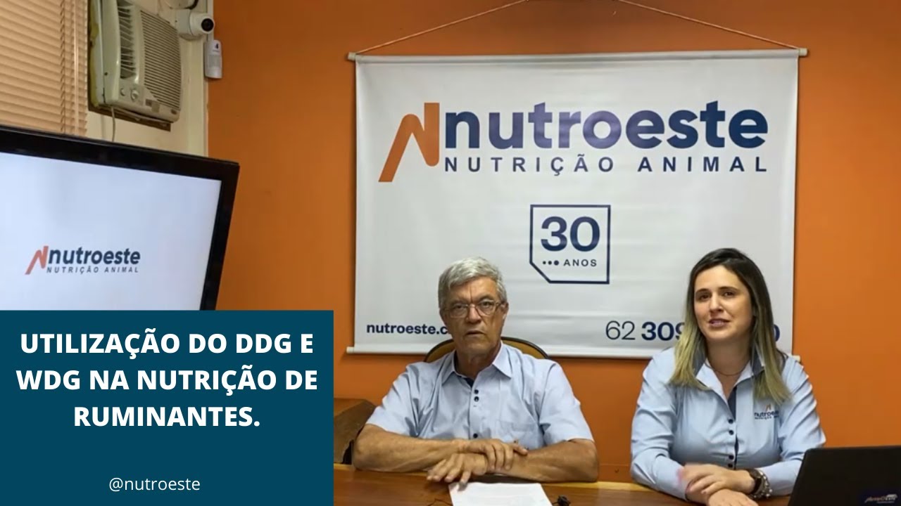 O uso de DDG e WDG na nutrição de ruminantes