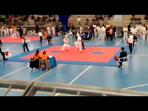 Campeonato karate kyokushin año 2015 cheste Sergio