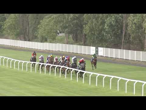 2. dostih - Cena Derby Clubu Prague - dostihy Chuchle Arena Praha 24. 5. 2020