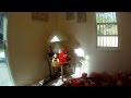 ELMOS FAMILY CHRISTMAS AT HOME