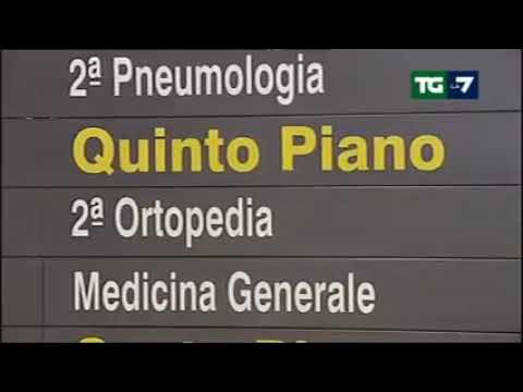 Presentazione Rapporto SVIMEZ 2019 – TG La7 del 4 novembre 2019