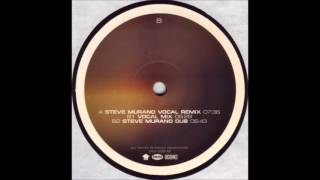 Dark Monks - Insane (Steve Murano Dub Mix) (2002)