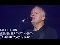 David Gilmour - Fat Old Sun (Remember That Night)