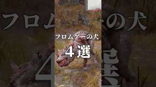 フロムゲーに登場する犬４選 #shorts  #ゲーム実況 #エルデンリング #エルデンリングナイトレイン #eldenringnightreign #eldenring