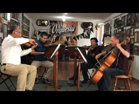Cuarteto Juventino Rosas - Vals Alejandra de E. Mora