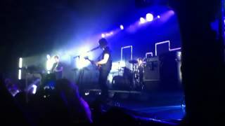 The Wombats ~ Party in the forest.