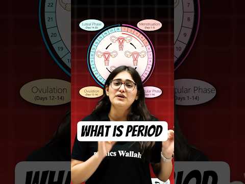 What are Periods? | Menstrual Cycle Full Concept | Biology Class 12 By Aarushi Ma'am