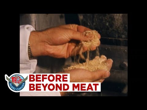 Archival Footage Of A Lab Making Meat Substitutes From Peas In The 1970s