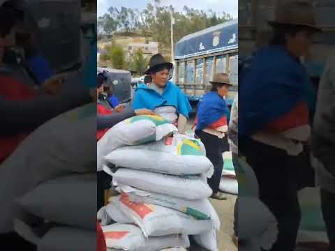 Punín recibe abono de la Prefectura del Chimborazo #diosesamor #agriculture #progessive#viral