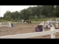 Horse For Sale Calypso At Warwick Equestrain London Ontario 2013