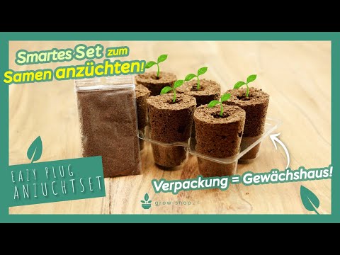 Eazy Plug Anzuchtset für deinen Grow