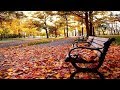 ELTON JOHN - EMPTY GARDEN (Traduzida pt br)
