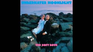 The Soft Boys - Insanely Jealous