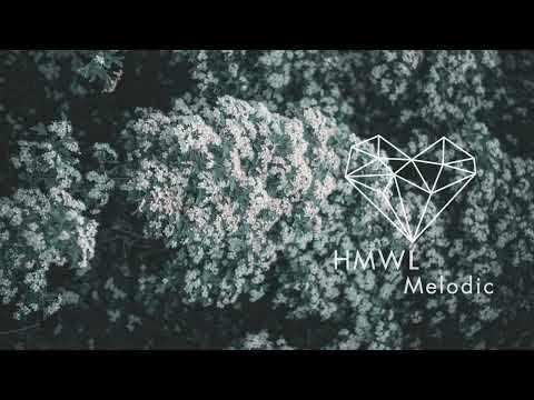 Acado - I Walk (Original Mix) [Indie Dance 2023 / A Tribe Called Kotori]