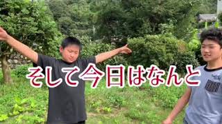 エアガンの検証していたら……