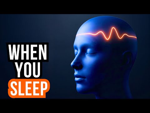 Your Dreams Might Not Be Inside Your Mind — They Could Be Somewhere Else | Sleepy Physicist