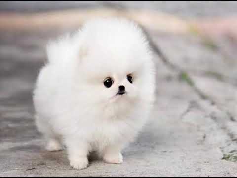 Le Thang phu quy tai troi dfsalfdiofsdhksdflfassfaiosdfajfsdofsdajksdfui6895