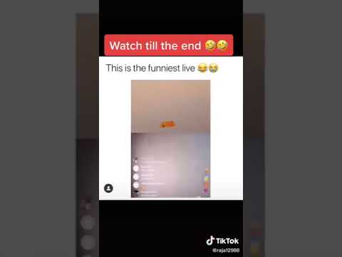 Frenzo Harmi is too funny 😂