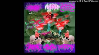 Seraphim Defloration - I Probably Hate Your Shitty Band (Kill Yourself)