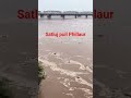 Satluj Pul Phillaur