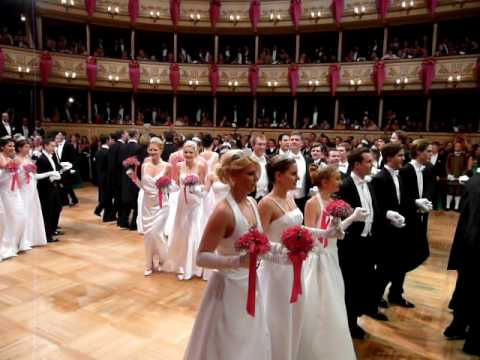 Wiener Opernball 2010, Balleröffnung