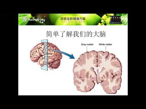 2020.10.25【脑黄金 - 好油】ANN KHOO