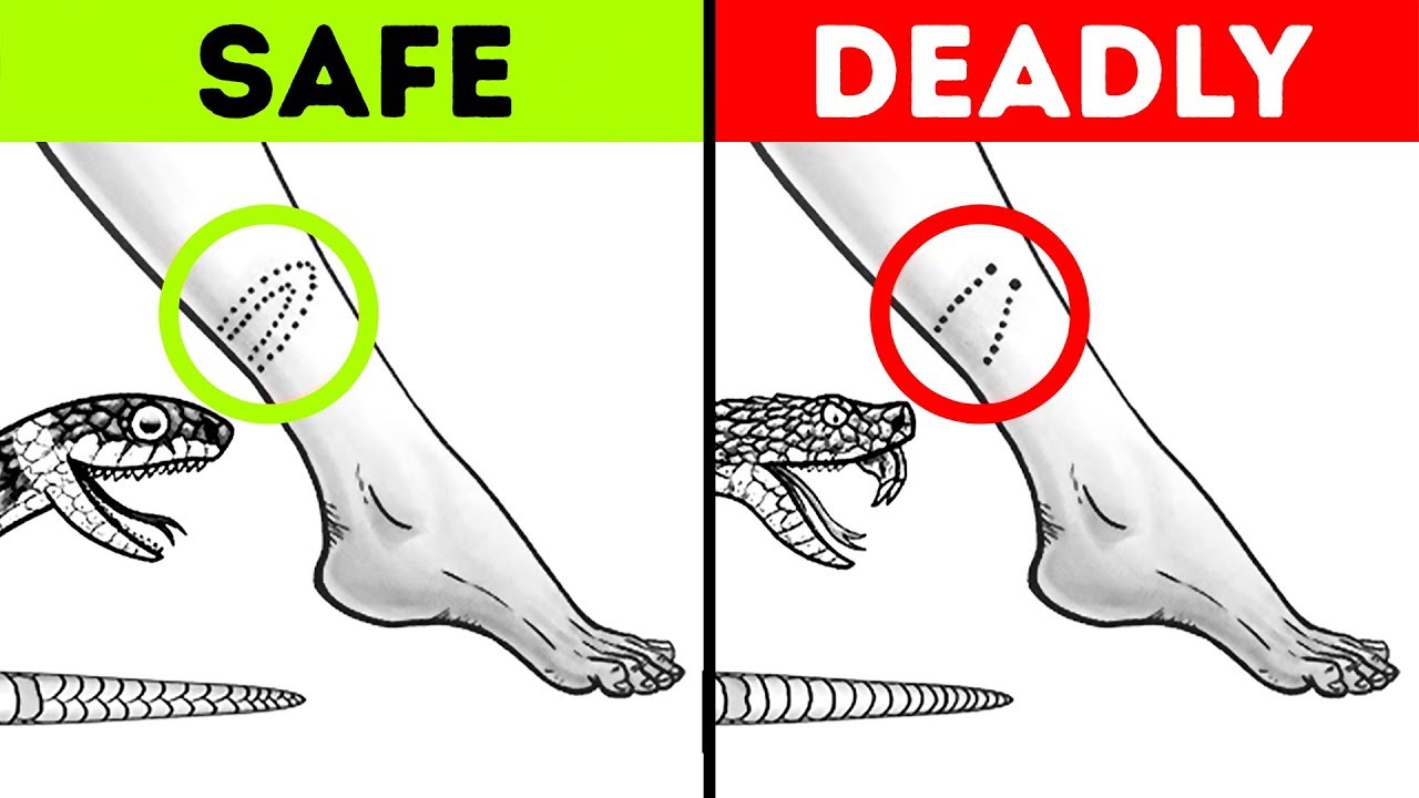 12 Tips That Will Save Your Life in a Critical Situation