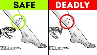 12 Tips That Will Save Your Life in a Critical Situation