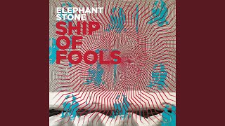 Cast the First Stone