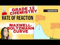 Rate Of Reaction Maxwell Boltzmann Distribution Curve Grade 12 Chemistry
