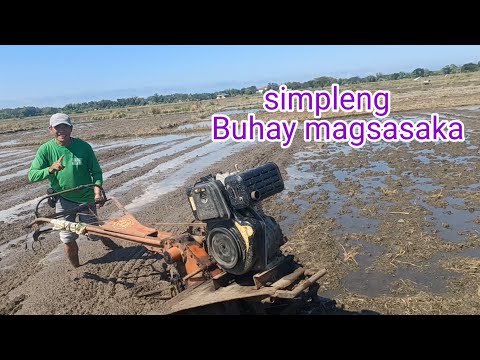 Feb.11 2024 pagkuliglig para sa taniman ng palay@Diodocoeugenetv554