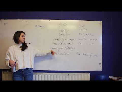Romanian Phrases with Alina