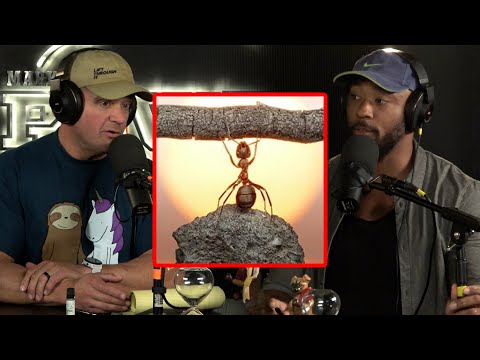 MBPP EP 701 - Redefining Strength, Clean Out Your Closet Of Beliefs & See How Much Further You’ll Go