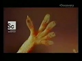 Discovery Channel Zapowiedzi Spot Promocyjny 2009