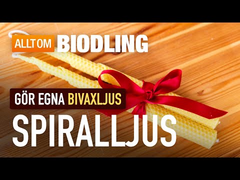 Bivaxljus: Spiralljus | Gör egna ljus av bivax