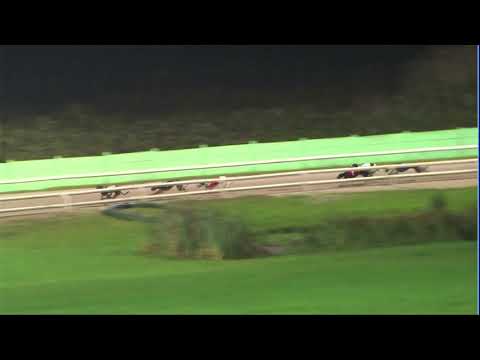 2020 BGBF STAKES - HEAT 5 - T6 KING LOUIS