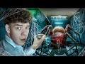 Diese Horror Spinne Will Mich Fressen