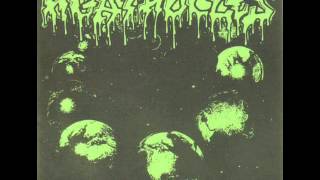 Agathocles - Kill Your Fucking Idols