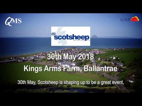Scotsheep 2018 Promo Video