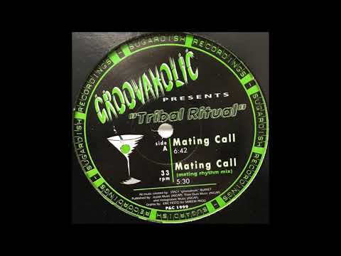 Groovaholic - Mating Call (1999)