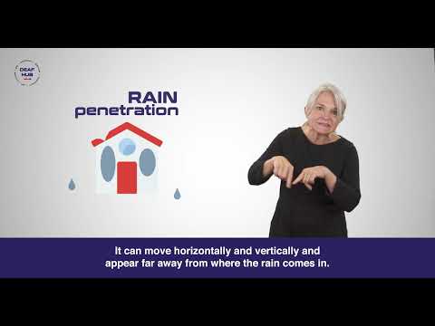 How to Sign Damp in Auslan