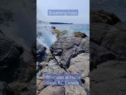 Blowholes at Haida Gwaii, BC, Canada. #travel #britishcolumbia #haidagwaii #nature #pacific #canada