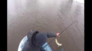 Рыбалка на реке омь омская область