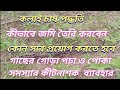 Kalai Cultivation Method Kolai Chas Biri Kolai Chas