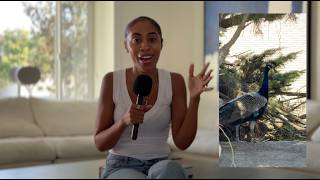 I Spent a Day at a Silent Retreat Center (My Honest Experience)