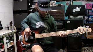 Bad Thing - Cry of Love (Robert Kearns) bass cover