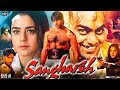 Sangharsh Full Movie In Hindi Akshay Kumar Ashutosh Rana Preity Zinta Review Explanation