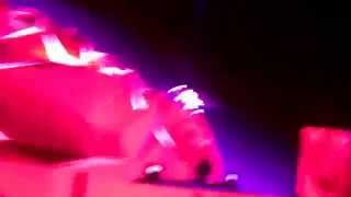 Freak - Maximum Frequency Bassnectar Red Rocks 2015