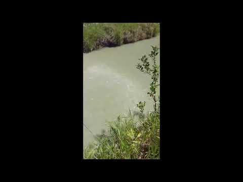 Chácara Completa em Jaraguá-GO | 2 Alqueires, Casa de Alto Padrão, Pomar e Energia Solar