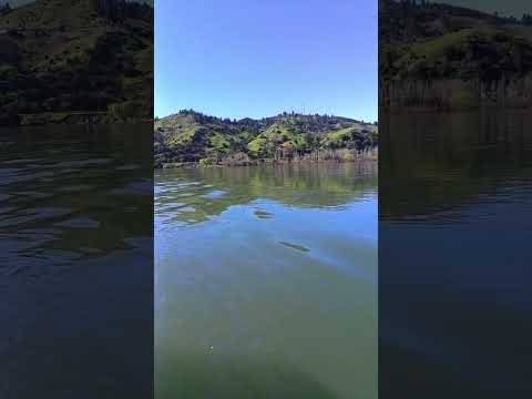 Cruce Rio Bio Bio en balsa. de San Rosendo.. camino a Santa Juana.